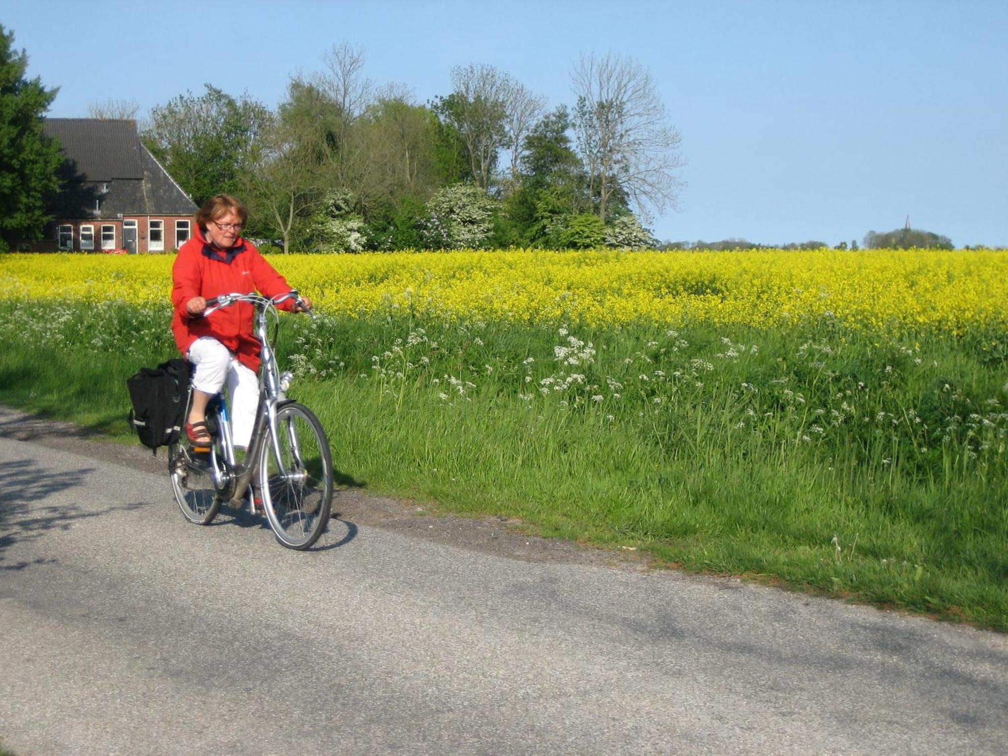 Bed and Breakfast Finisterre Saaxumhuizen Екстер'єр фото