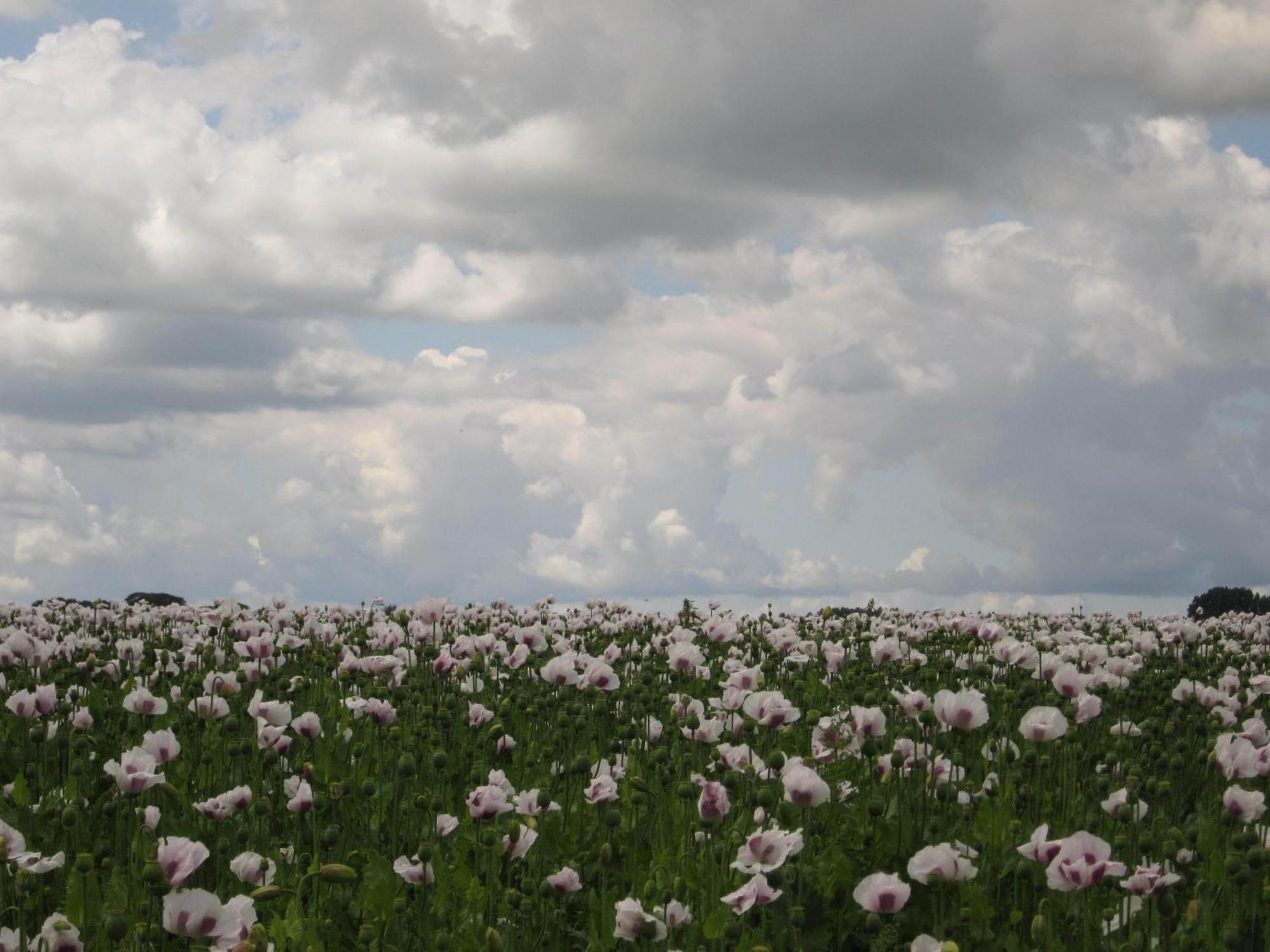 Bed and Breakfast Finisterre Saaxumhuizen Екстер'єр фото