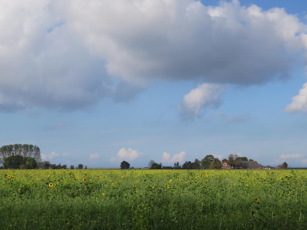 Bed and Breakfast Finisterre Saaxumhuizen Екстер'єр фото